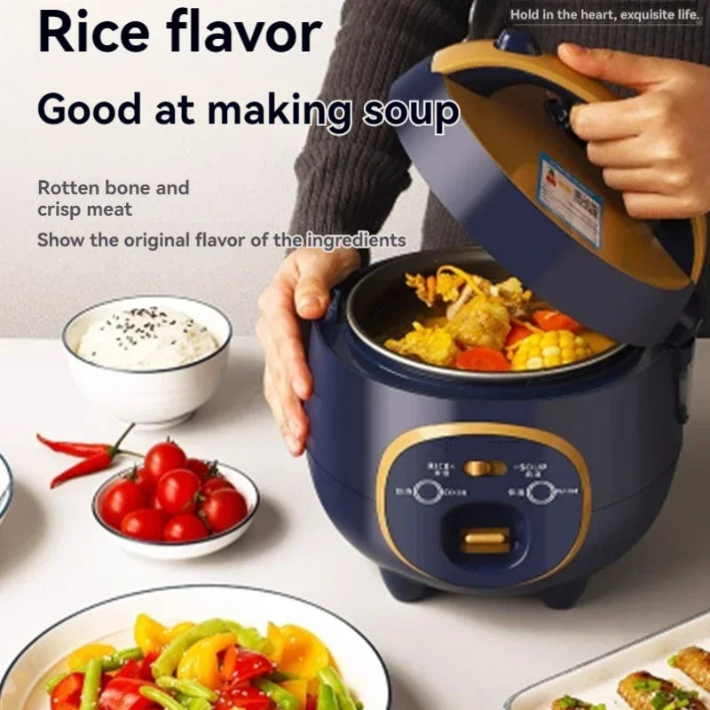 Multi-functional electric rice cooker for home and dormitory use 220v small electric rice cooker non-stick pot and cooking appli